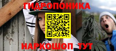 молекула духа Берёзовский