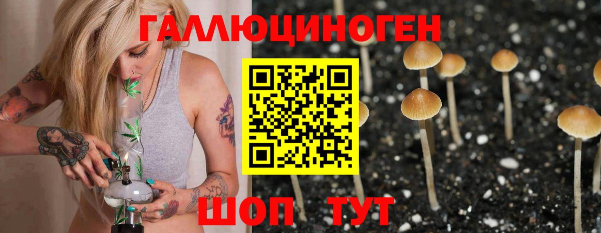 Псилоцибиновые грибы MAGIC MUSHROOMS Клинцы