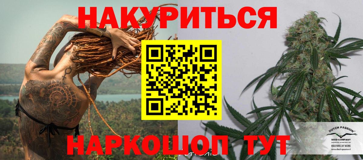 Конопля гибрид Клинцы